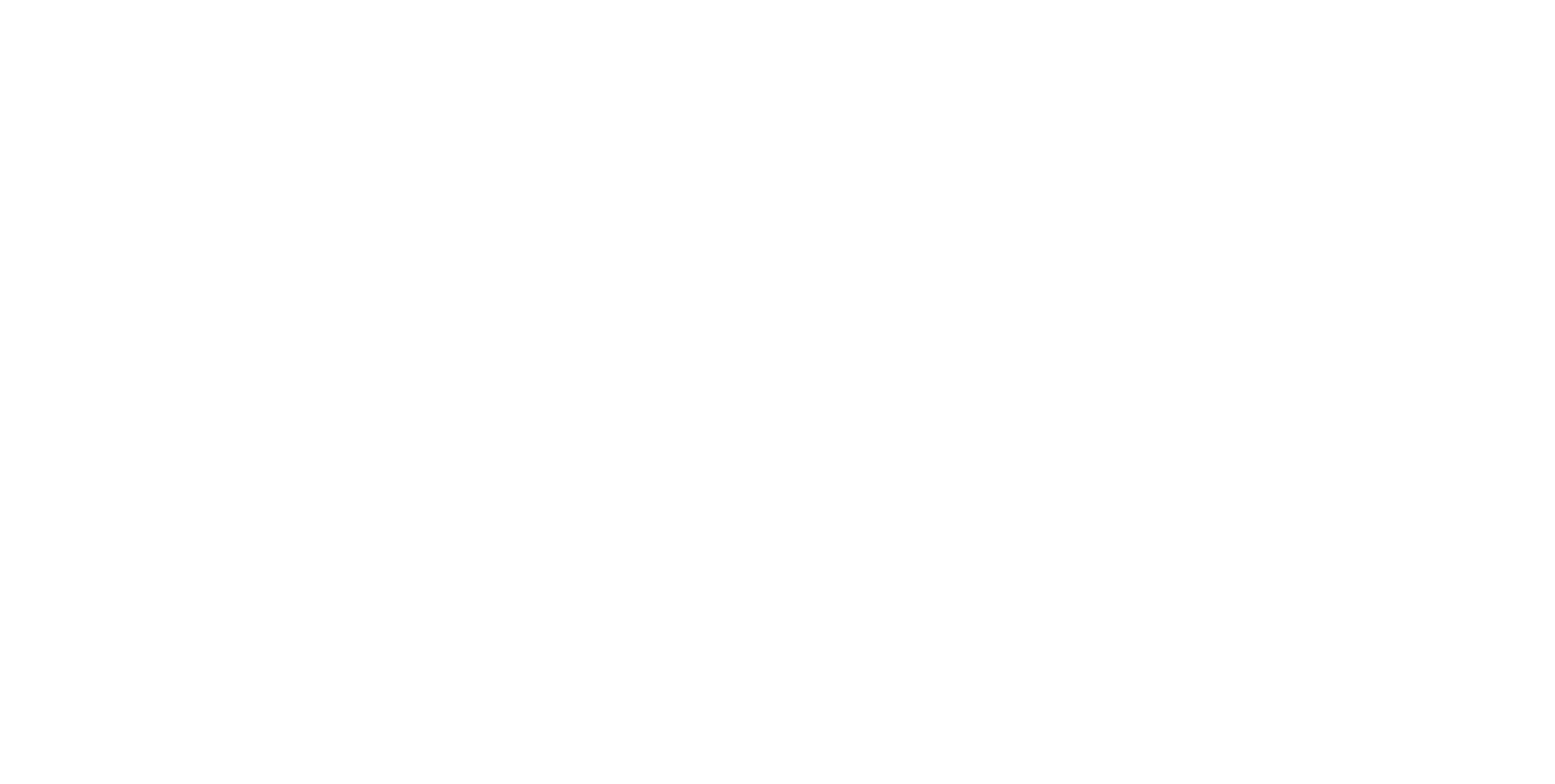 Ruud van den Berkmortel Stukadoors